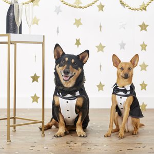 Frisco Formal Dog & Cat Tuxedo, Black, XX-Large