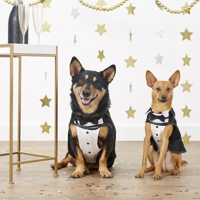 Show full view: Frisco Formal Dog & Cat Tuxedo, Black, XXX-Large slide 3 of 10