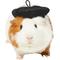 Show in main carousel: Frisco French Beret Guinea Pig Costume Hat, One Size, Black slide 1 of 6