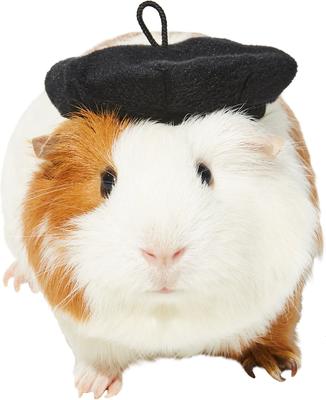 Show full view: Frisco French Beret Guinea Pig Costume Hat, One Size, Black slide 1 of 6