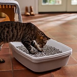 Frisco Fresh Scented Non-Clumping Recycled Paper Cat Litter, 25-lb bag slide 2 of 6
