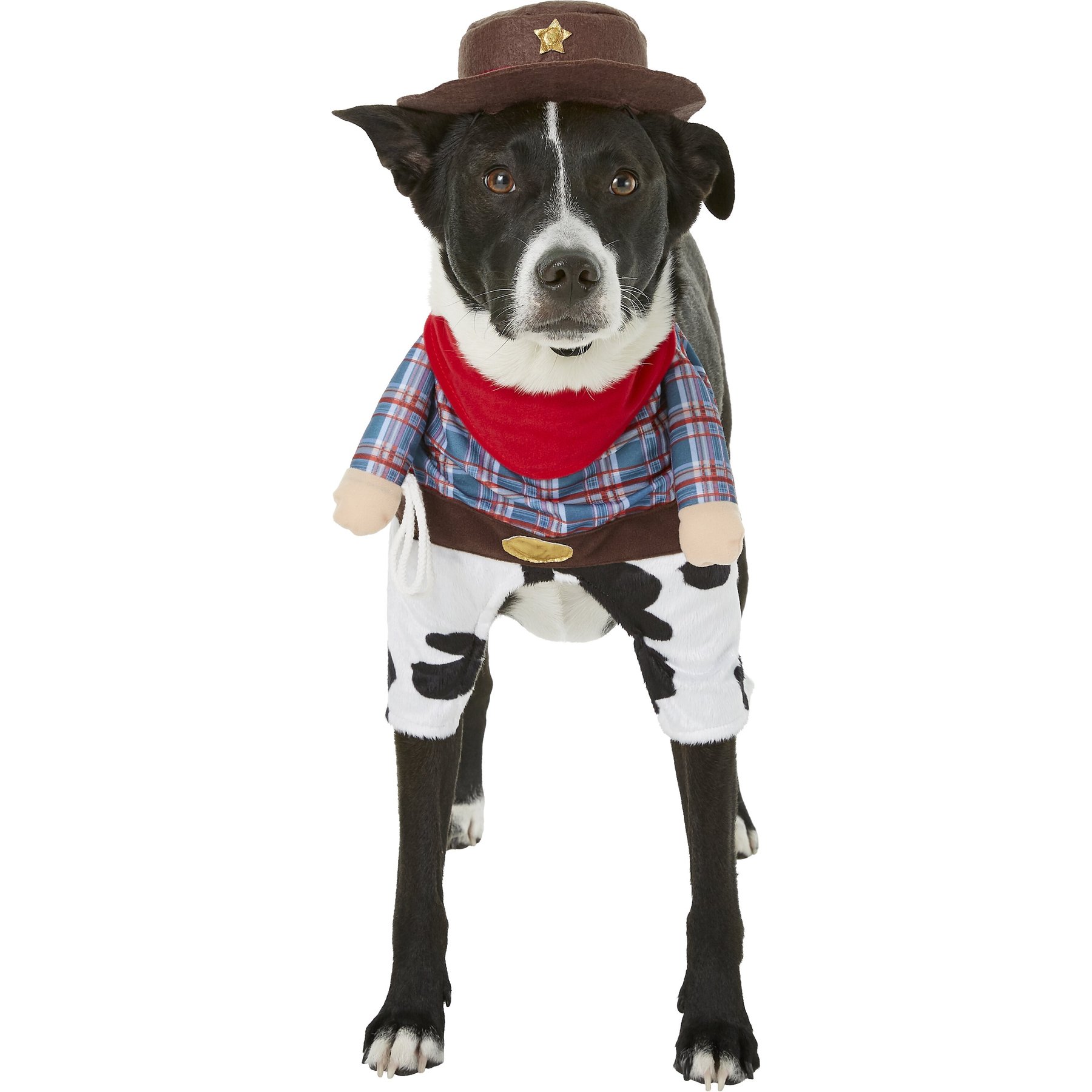 Large, Walking Cowboy Dog & Cat Costume Frisco