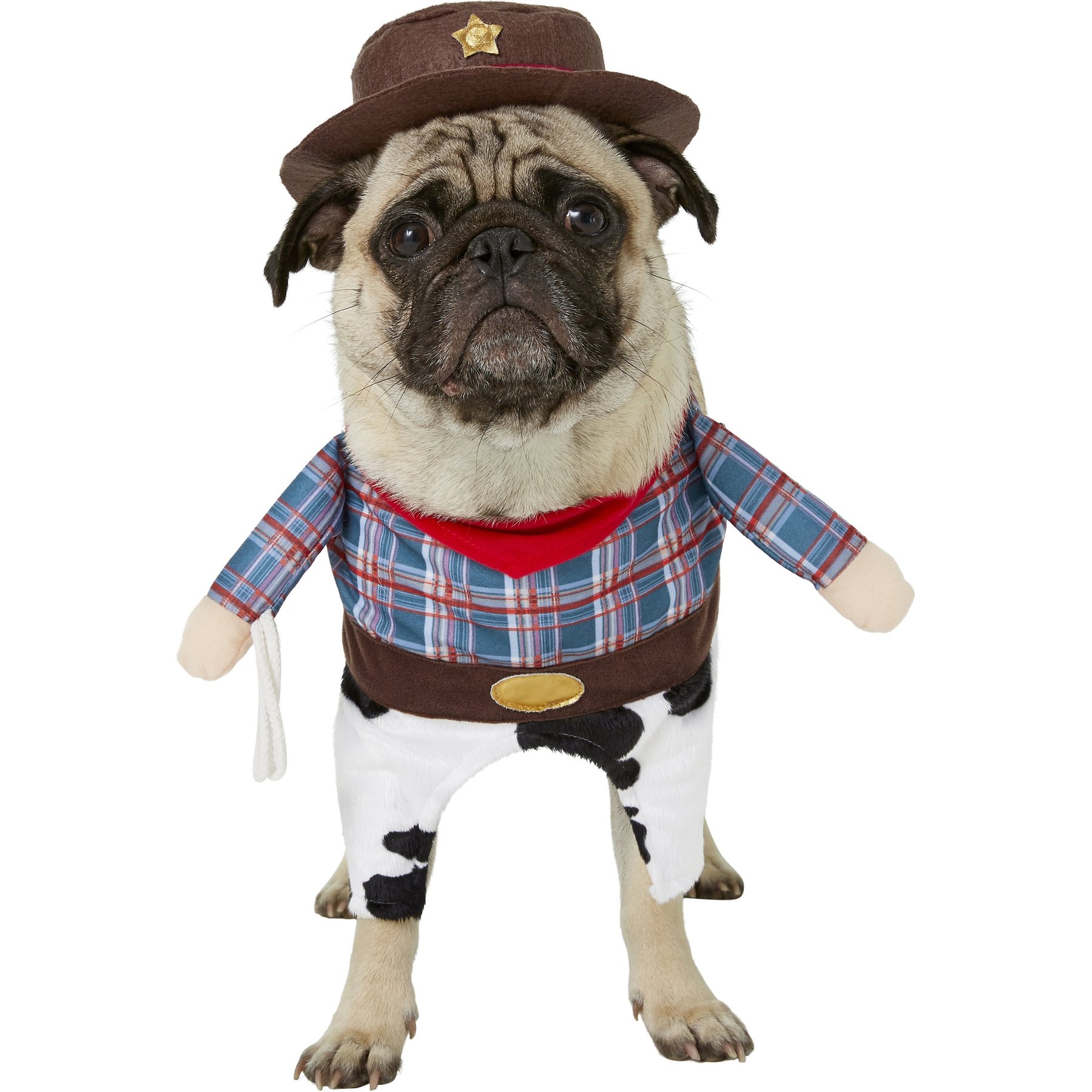Medium, Walking Cowboy Dog & Cat Costume Frisco