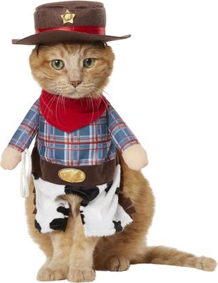Show full view: Frisco Front Walking Cowboy Dog & Cat Costume, Medium slide 4 of 10