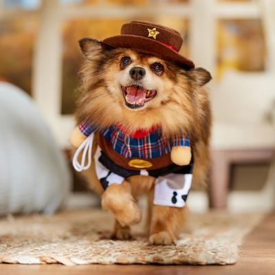 Show full view: Frisco Front Walking Cowboy Dog & Cat Costume, Medium slide 8 of 10