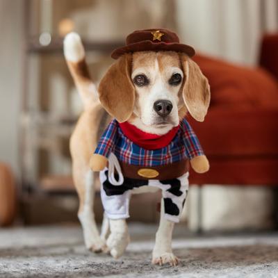 Show full view: Frisco Front Walking Cowboy Dog & Cat Costume, Small slide 9 of 11
