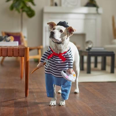 Show full view: Frisco Front Walking French Artist Dog & Cat Costume, Small slide 9 of 10