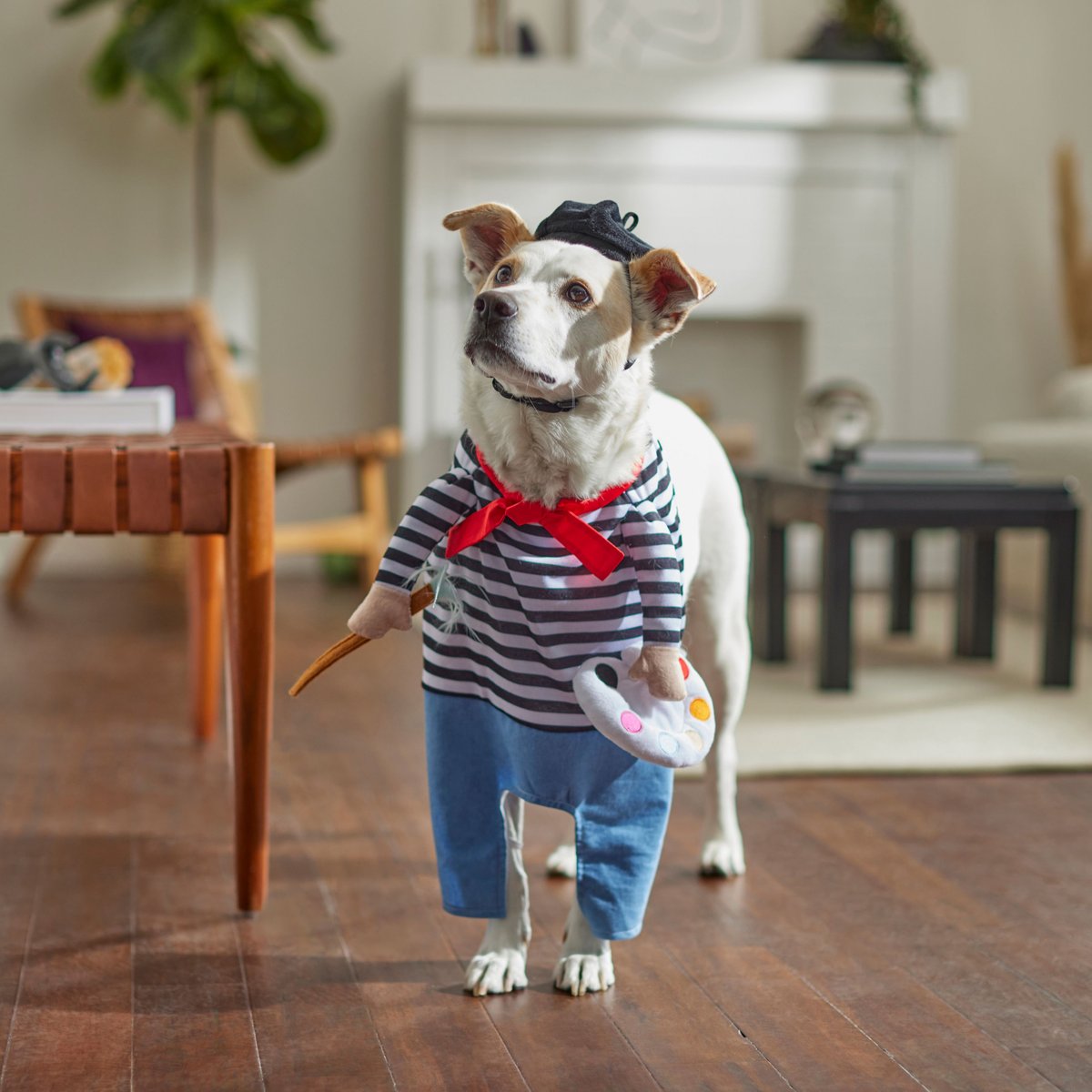 Frisco Front Walking French Artist Dog & Cat Costume