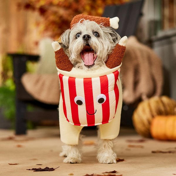 Frisco Front Walking Fried Chicken Bucket with Adjustable Inseam Dog & Cat Costume (Patent Pending)