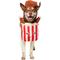 Show in main carousel: Frisco Front Walking Fried Chicken Bucket with Adjustable Inseam Dog & Cat Costume (Patent Pending), X-Large slide 1 of 10