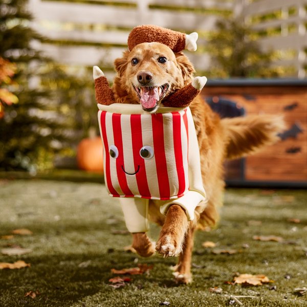 Frisco Front Walking Fried Chicken Bucket with Adjustable Inseam Dog & Cat Costume (Patent Pending)