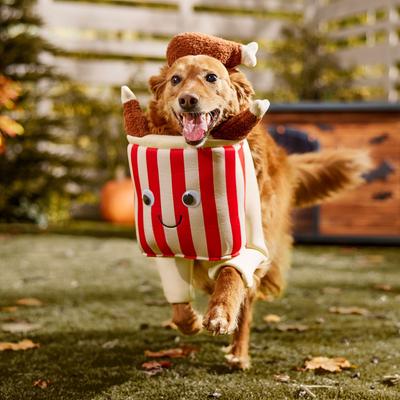 Show full view: Frisco Front Walking Fried Chicken Bucket with Adjustable Inseam Dog & Cat Costume (Patent Pending), X-Large slide 7 of 10