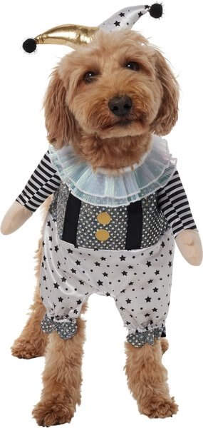 Frisco Front Walking Glitter Clown Dog & Cat Costume