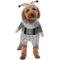 Show in main carousel: Frisco Front Walking Glitter Clown Dog & Cat Costume, Large slide 1 of 9