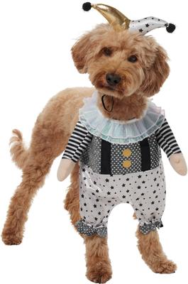 Show full view: Frisco Front Walking Glitter Clown Dog & Cat Costume, Large slide 3 of 9