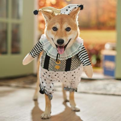 Show full view: Frisco Front Walking Glitter Clown Dog & Cat Costume, Large slide 7 of 9