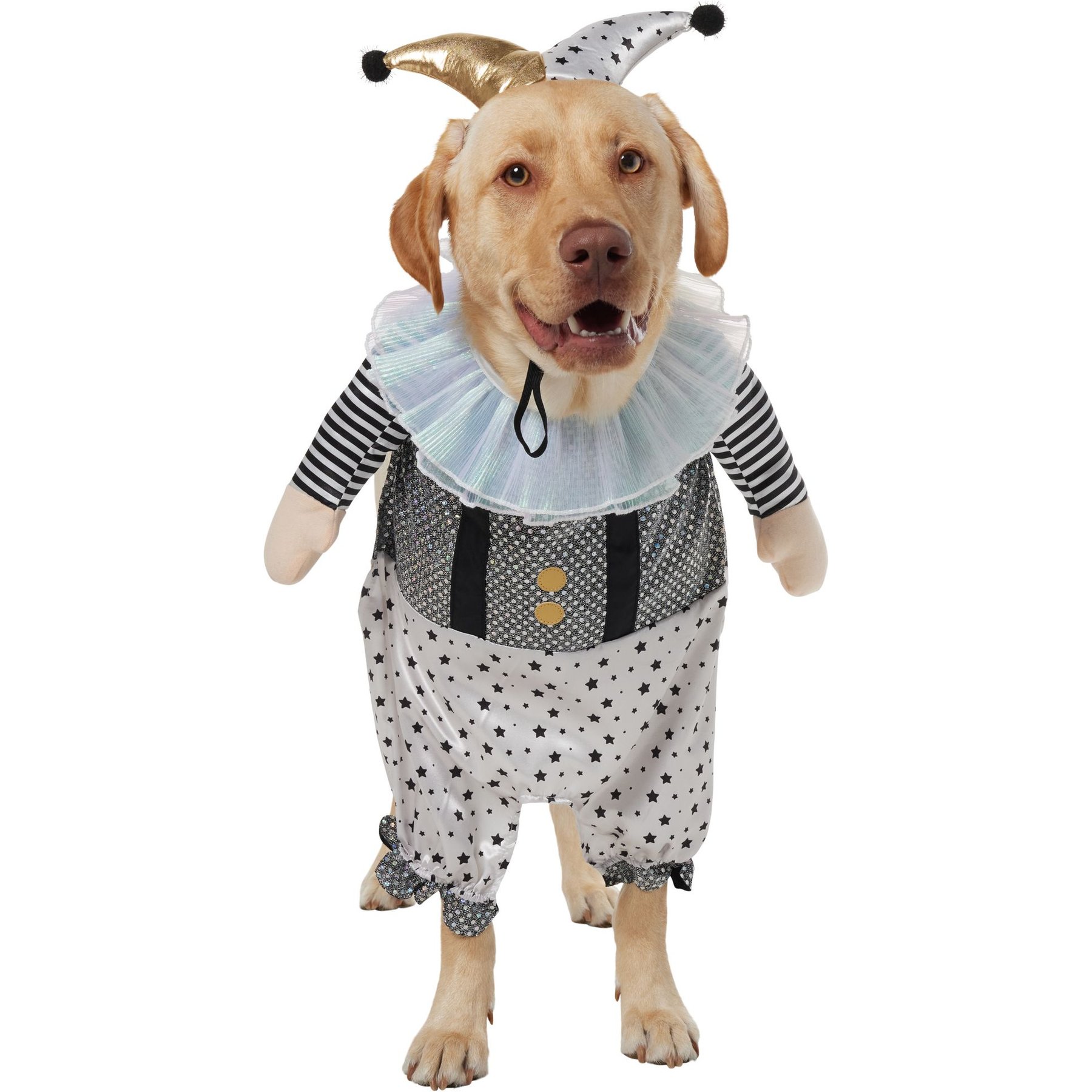 Frisco Front Walking Glitter Clown Dog & Cat Costume, XX-Large