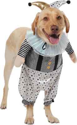 Show full view: Frisco Front Walking Glitter Clown Dog & Cat Costume, XX-Large slide 3 of 9