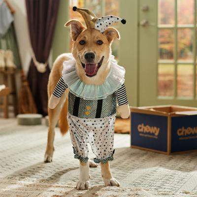 Show full view: Frisco Front Walking Glitter Clown Dog & Cat Costume, XX-Large slide 7 of 9