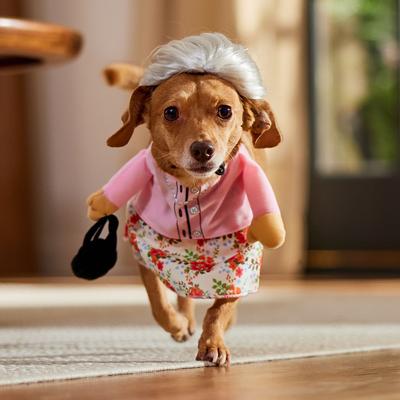 Show full view: Frisco Front Walking Granny Dog & Cat Costume, Small slide 9 of 10