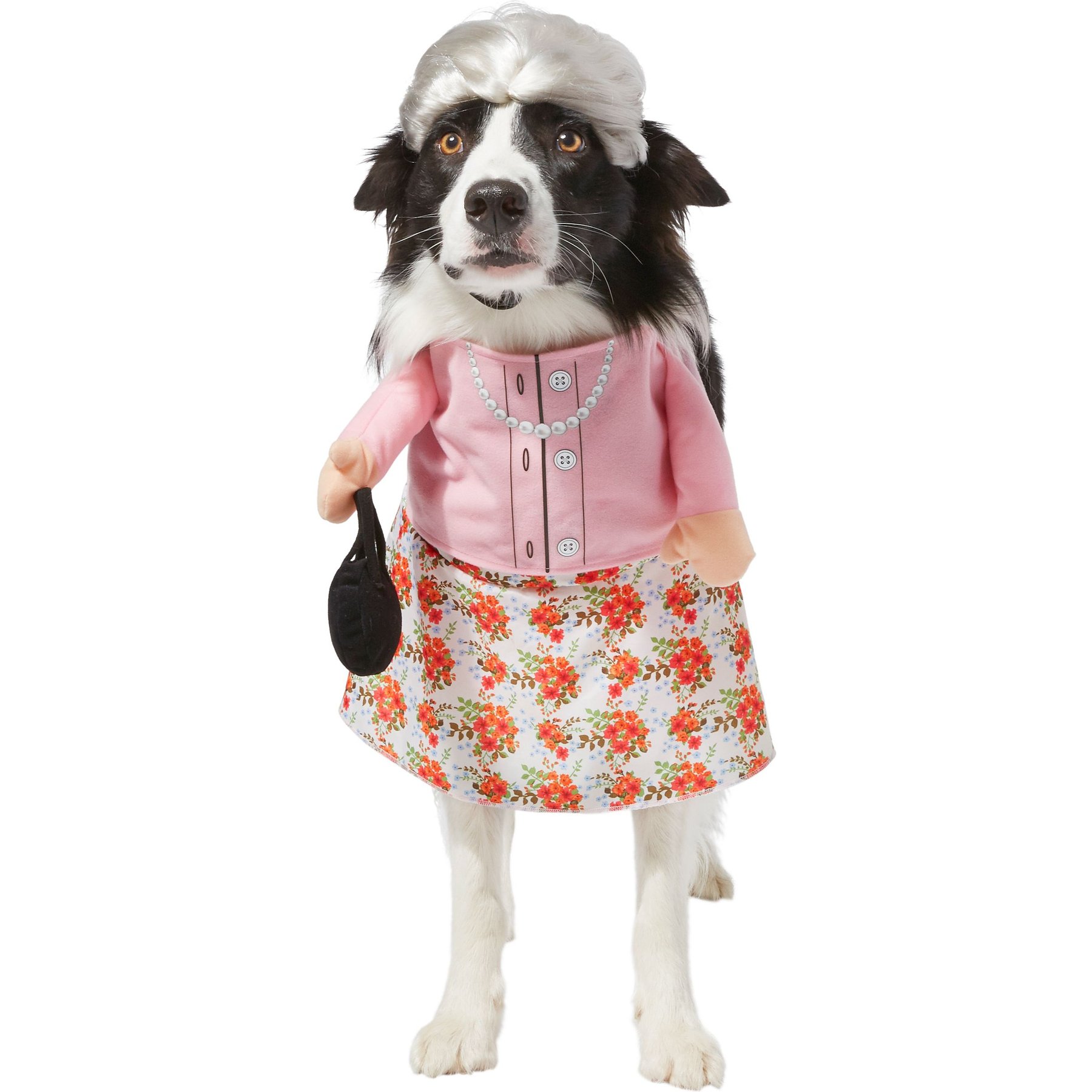 Frisco Front Walking Granny Dog & Cat Costume, X-Large