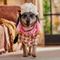 Show in main carousel: Frisco Front Walking Granny Dog & Cat Costume, X-Large slide 8 of 10