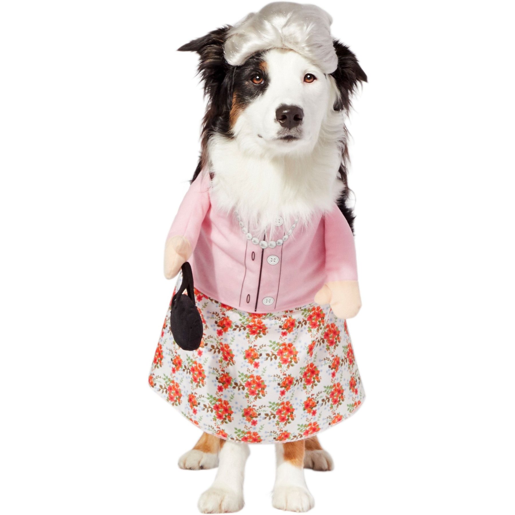 Frisco Front Walking Granny Dog & Cat Costume, XX-Large