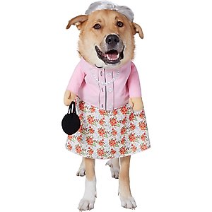 Frisco Lion Mane Dog & Cat Costume