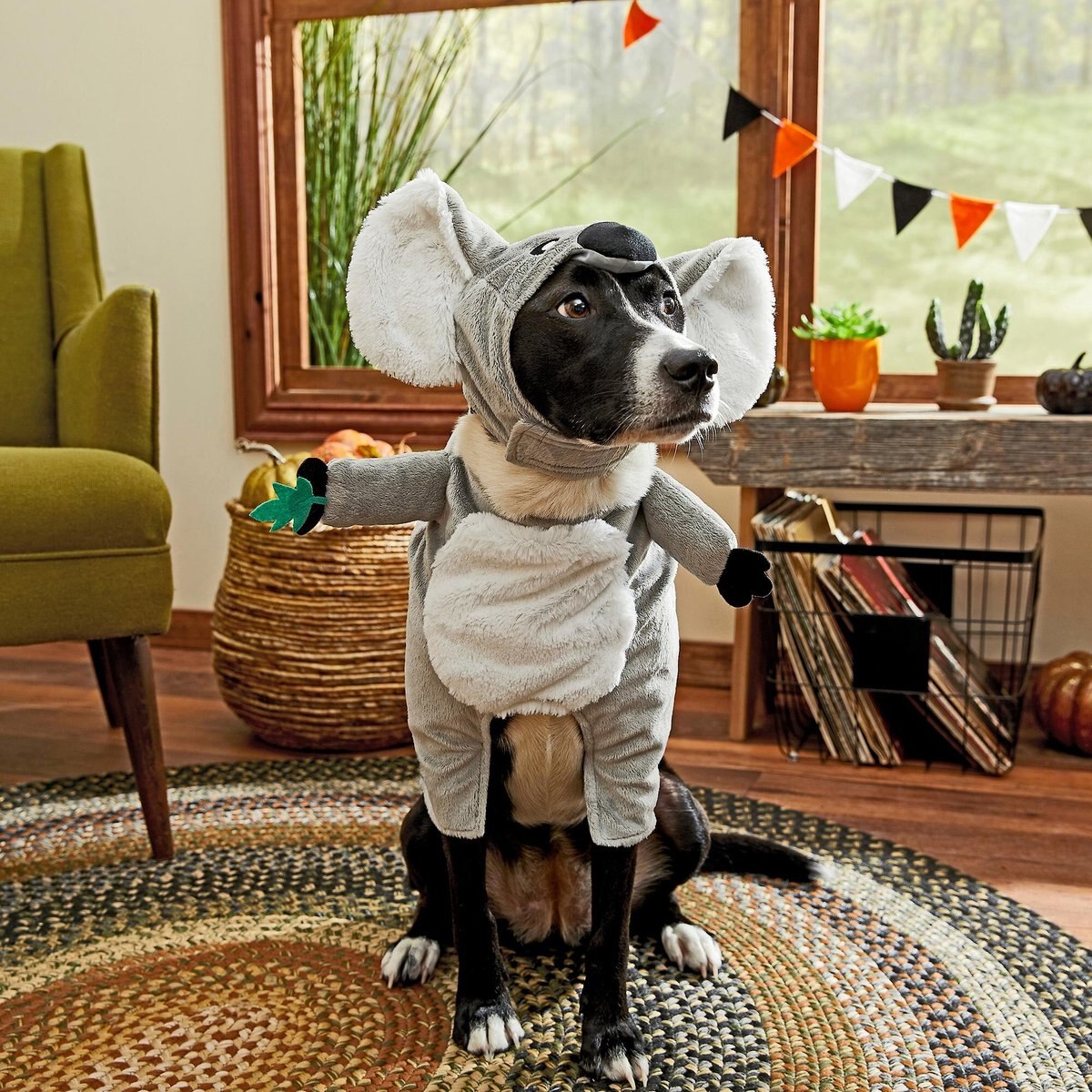 Frisco Front Walking Koala Dog & Cat Costume