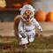 Show in main carousel: Frisco Front Walking LED Astronaut Dog & Cat Costume, Large slide 7 of 9