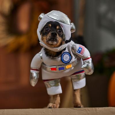 Show full view: Frisco Front Walking LED Astronaut Dog & Cat Costume, Small slide 8 of 10