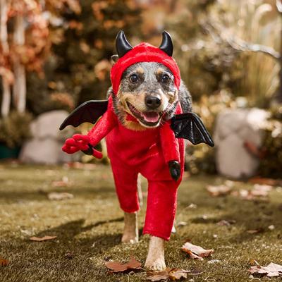 Show full view: Frisco Front Walking Lil Devil with Adjustable Inseam Dog & Cat Costume (Patent Pending), Large slide 7 of 10