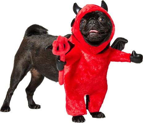 Show full view: Frisco Front Walking Lil Devil with Adjustable Inseam Dog & Cat Costume (Patent Pending), Medium slide 3 of 11