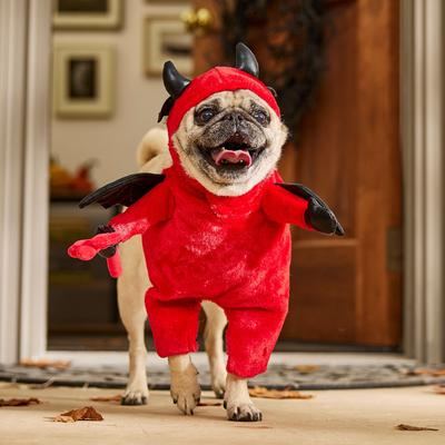 Show full view: Frisco Front Walking Lil Devil with Adjustable Inseam Dog & Cat Costume (Patent Pending), Medium slide 8 of 11