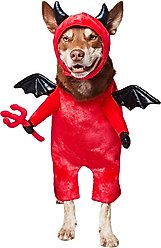 Frisco Front Walking Lil Devil with Adjustable Inseam Dog & Cat Costume (Patent Pending), X-Large