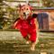 Show in main carousel: Frisco Front Walking Lil Devil with Adjustable Inseam Dog & Cat Costume (Patent Pending), X-Large slide 7 of 10