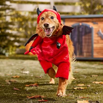 Show full view: Frisco Front Walking Lil Devil with Adjustable Inseam Dog & Cat Costume (Patent Pending), X-Large slide 7 of 10