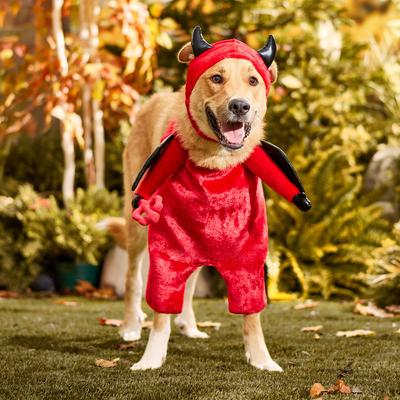Show full view: Frisco Front Walking Lil Devil with Adjustable Inseam Dog & Cat Costume (Patent Pending), XX-Large slide 7 of 10