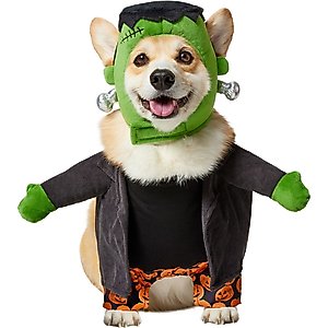 Rubie's Costume Company Toy Story Buzz Lightyear Toy Bundle