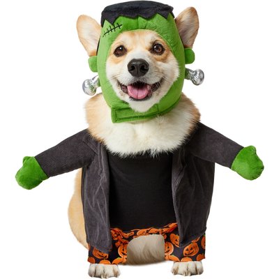 Frisco Frisco Front Walking Reanimated Monster with Adjustable Inseam Dog & Cat Costume (Patent Pending), Large