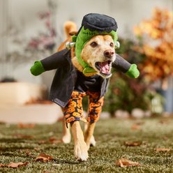 Frisco Front Walking Reanimated Monster with Adjustable Inseam Dog & Cat Costume (Patent Pending), Large slide 2 of 8