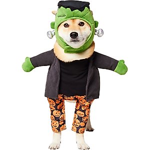 Rubie's Costume Company Scooby Doo Mystery Machine Dog & Cat Costume