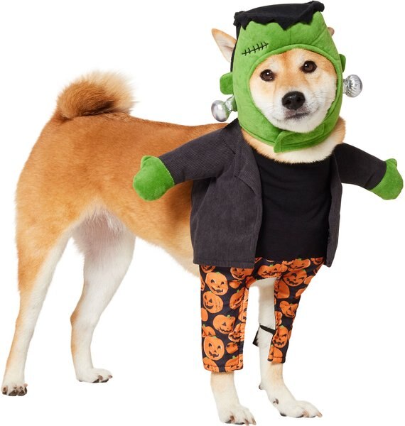 Frisco Front Walking Reanimated Monster with Adjustable Inseam Dog & Cat Costume (Patent Pending)