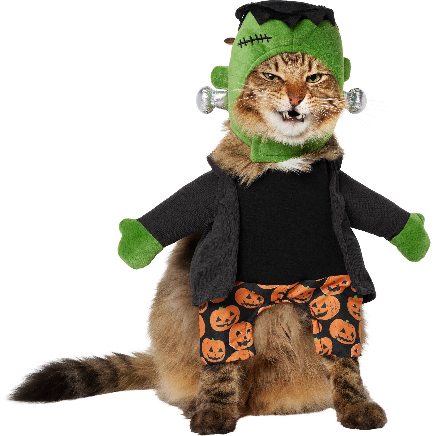 Frisco Front Walking Reanimated Monster with Adjustable Inseam Dog & Cat Costume (Patent Pending), Small