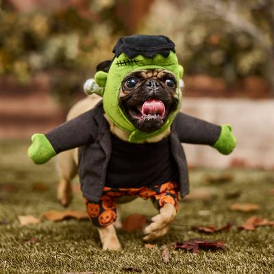 Show full view: Frisco Front Walking Reanimated Monster with Adjustable Inseam Dog & Cat Costume (Patent Pending), Small slide 8 of 11