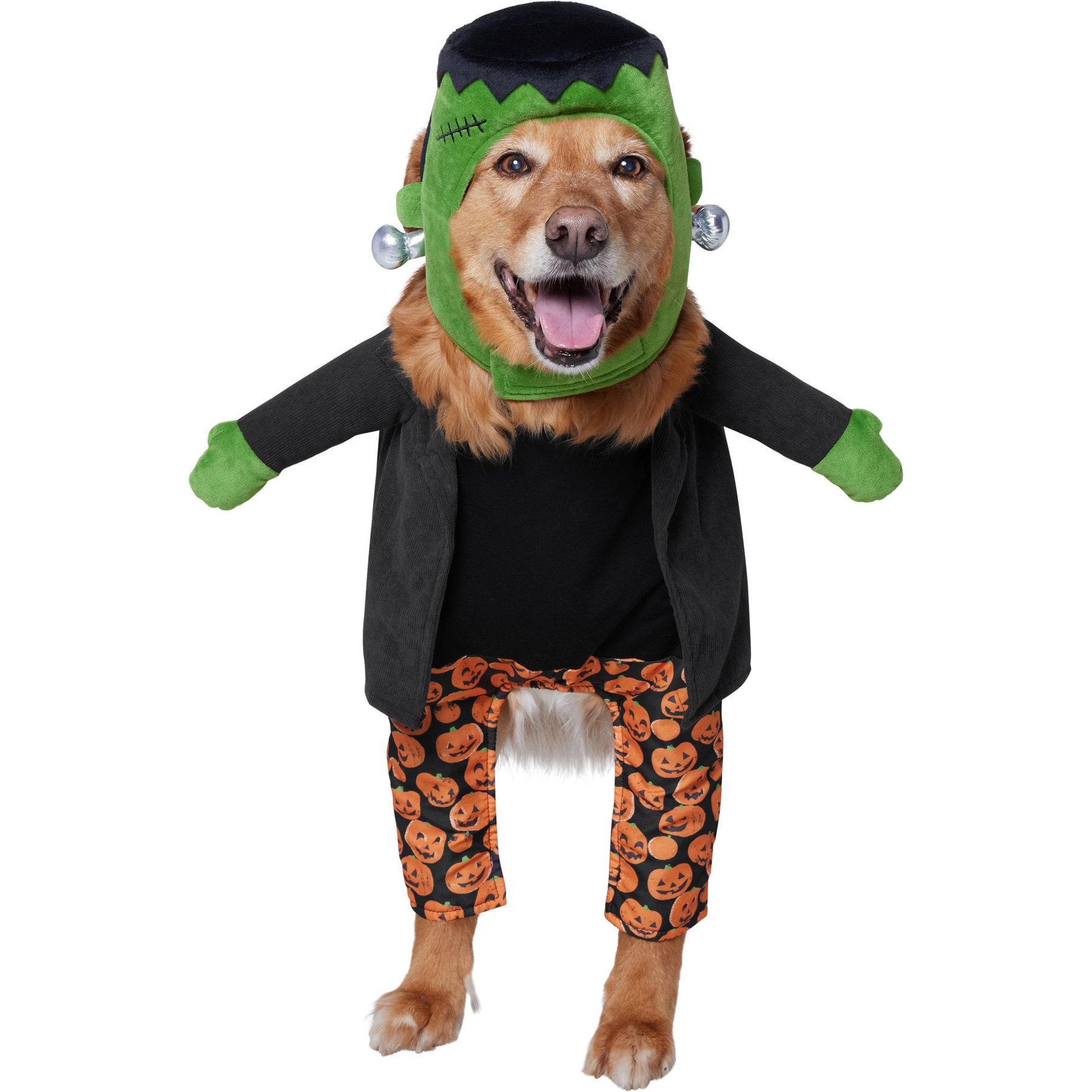 Frisco Front Walking Reanimated Monster with Adjustable Inseam Dog & Cat Costume (Patent Pending), X-Large