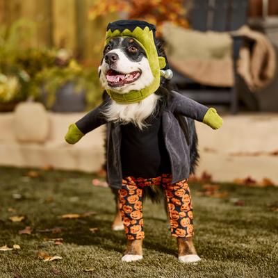Show full view: Frisco Front Walking Reanimated Monster with Adjustable Inseam Dog & Cat Costume (Patent Pending), X-Large slide 8 of 11