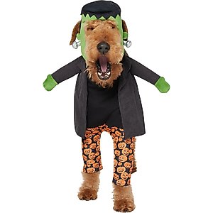 Frisco Front Walking Cowboy Dog & Cat Costume