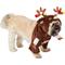 Show in main carousel: Frisco Front Walking Reindeer Dog & Cat Costume, 1 count, Medium slide 3 of 10