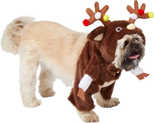 Show full view: Frisco Front Walking Reindeer Dog & Cat Costume, 1 count, Medium slide 3 of 10